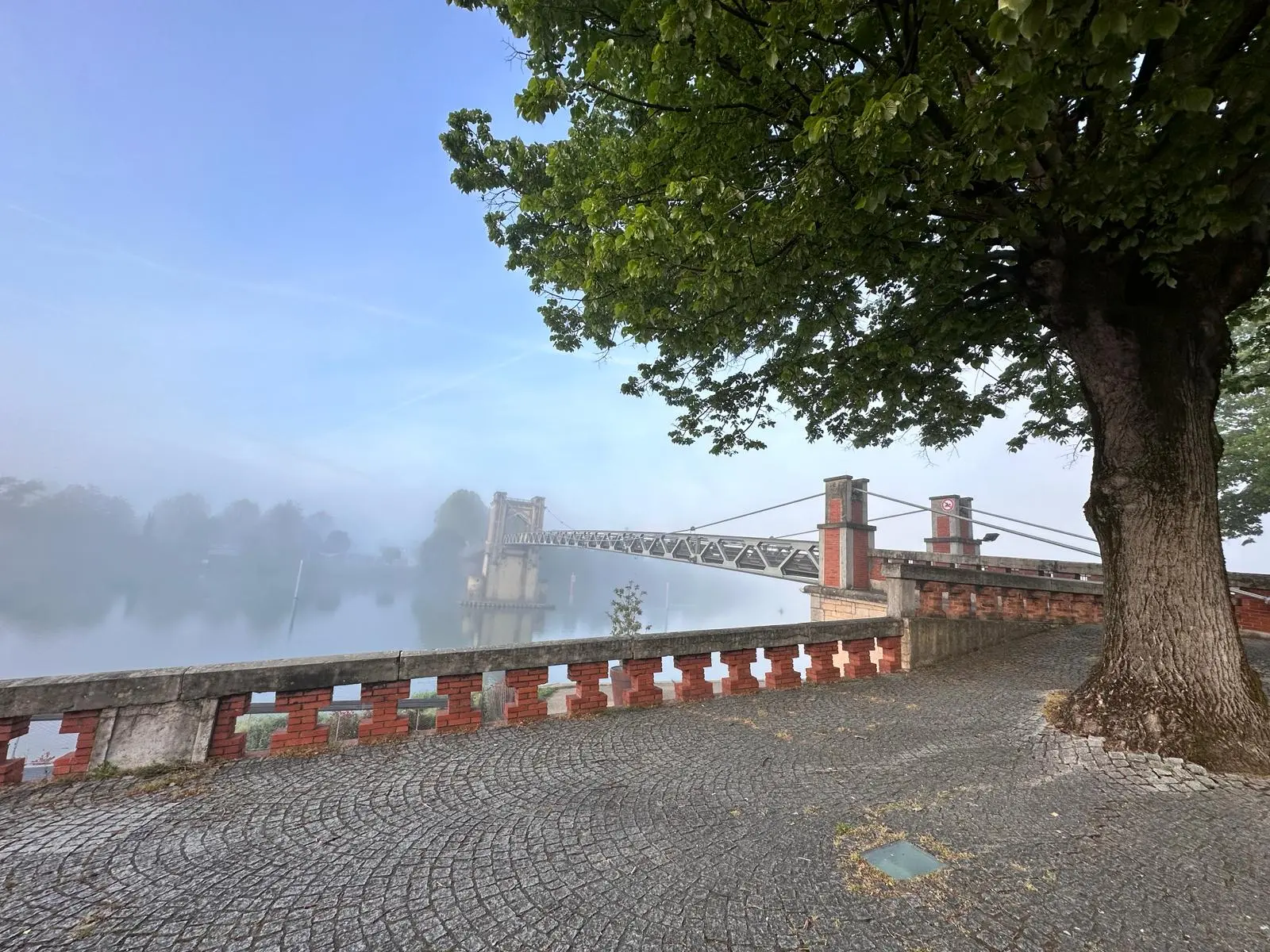 Brücke mit altem Baum und Blick auf Nebel und Wasser